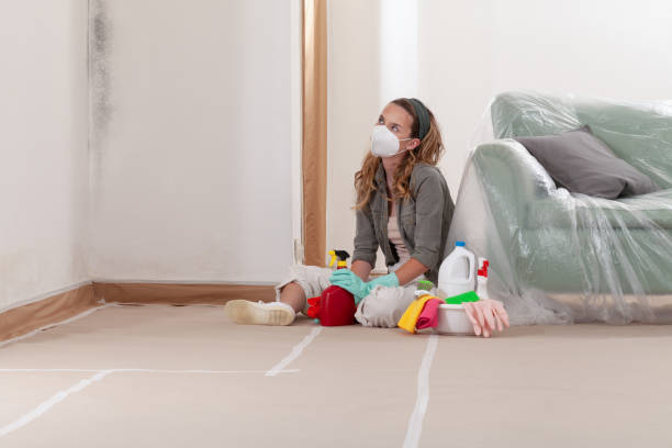 Reliable Mold Cleanup contractor in Evans, GA by Cheap Mold Removal